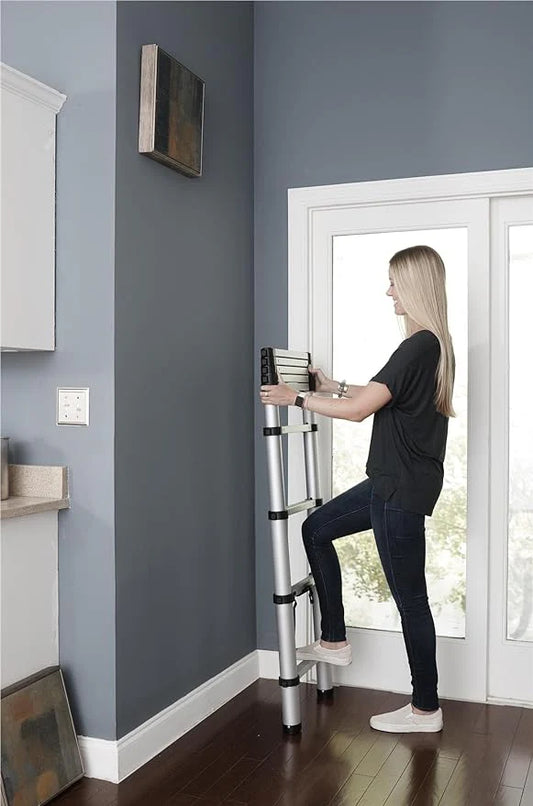 Telescopic Ladder